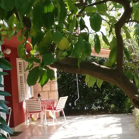 Apartment Petrovic كورتْشولا المظهر الخارجي الصورة