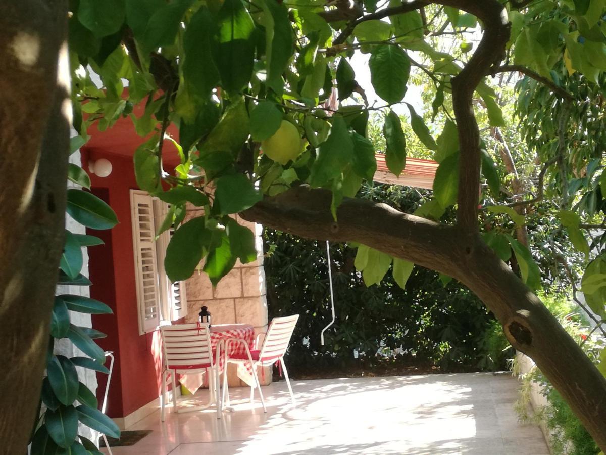 Apartment Petrovic كورتْشولا المظهر الخارجي الصورة