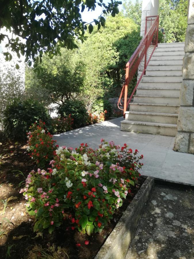 Apartment Petrovic كورتْشولا المظهر الخارجي الصورة